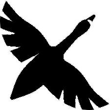 Goose