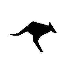 Roo
